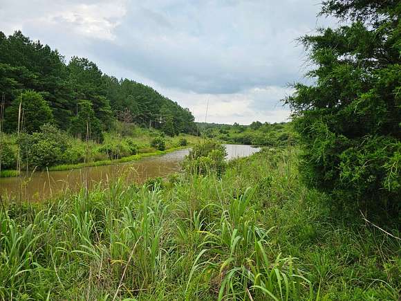 80 Acres of Recreational Land for Sale in Brilliant, Alabama