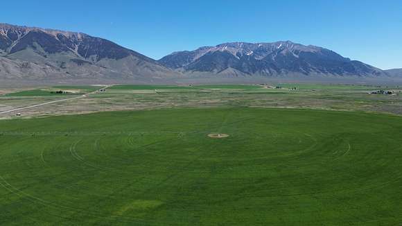 155 Acres of Recreational Land & Farm for Sale in Moore, Idaho