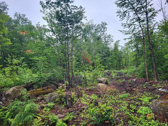 8.5 Acres of Land for Sale in Madrid, Maine