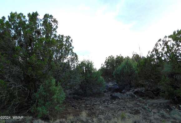 0.23 Acres of Residential Land for Sale in Show Low, Arizona