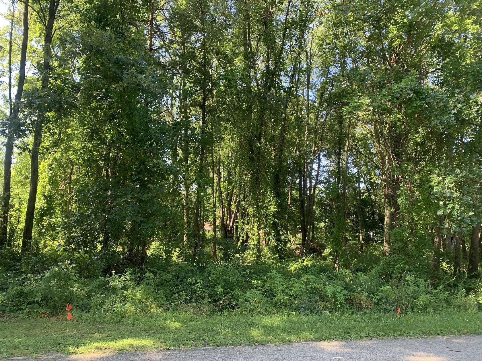 0.35 Acres of Residential Land for Sale in Gobles, Michigan