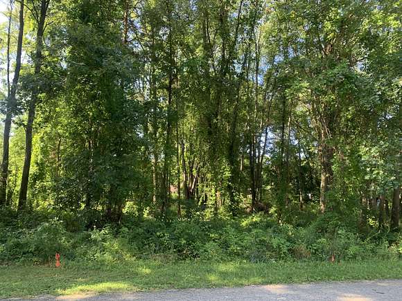 0.35 Acres of Residential Land for Sale in Gobles, Michigan