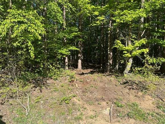 4.04 Acres of Residential Land for Sale in Fennville, Michigan