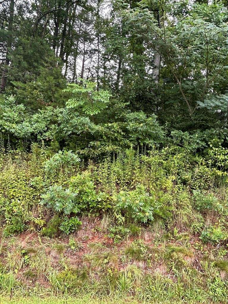 1.04 Acres of Residential Land for Sale in Murphy, North Carolina