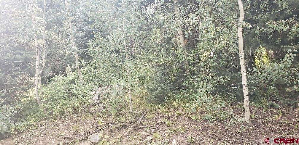 5 Acres of Residential Land for Sale in Creede, Colorado