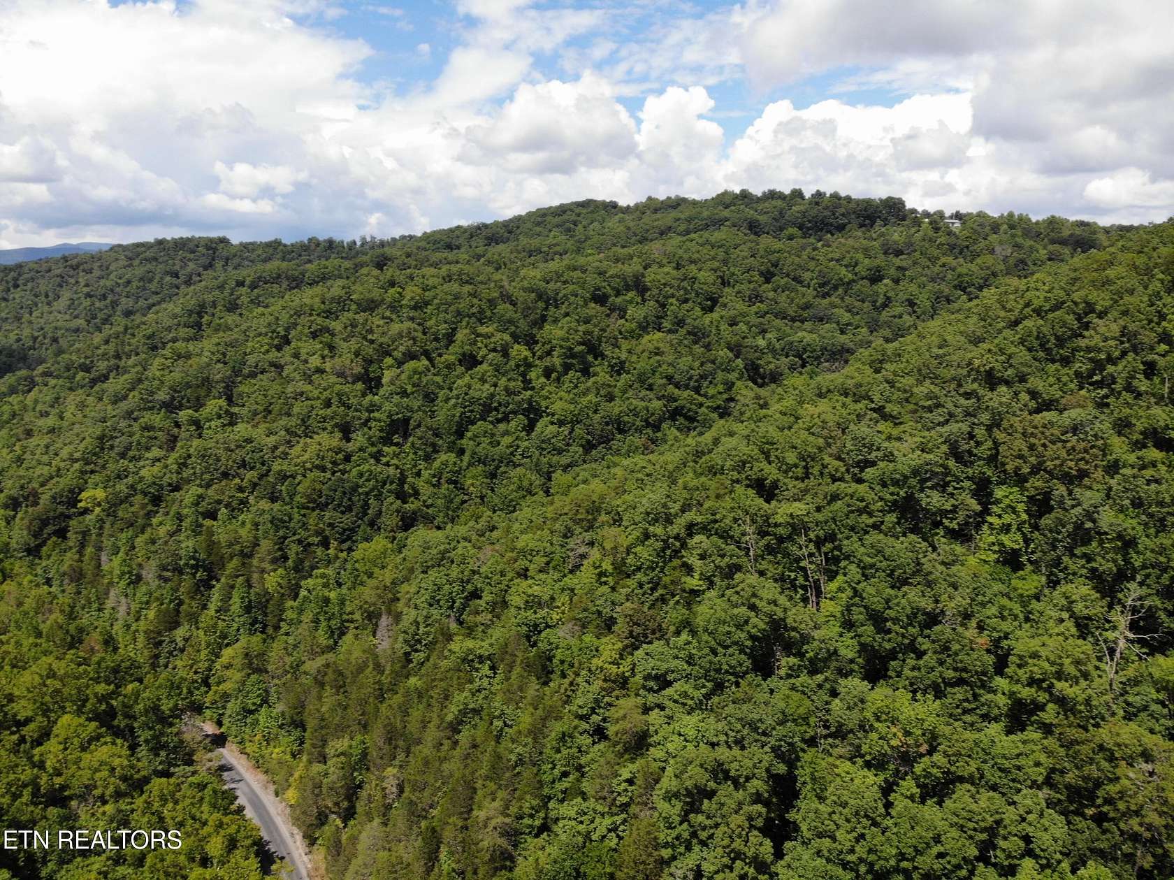 80.68 Acres of Recreational Land for Sale in New Tazewell, Tennessee