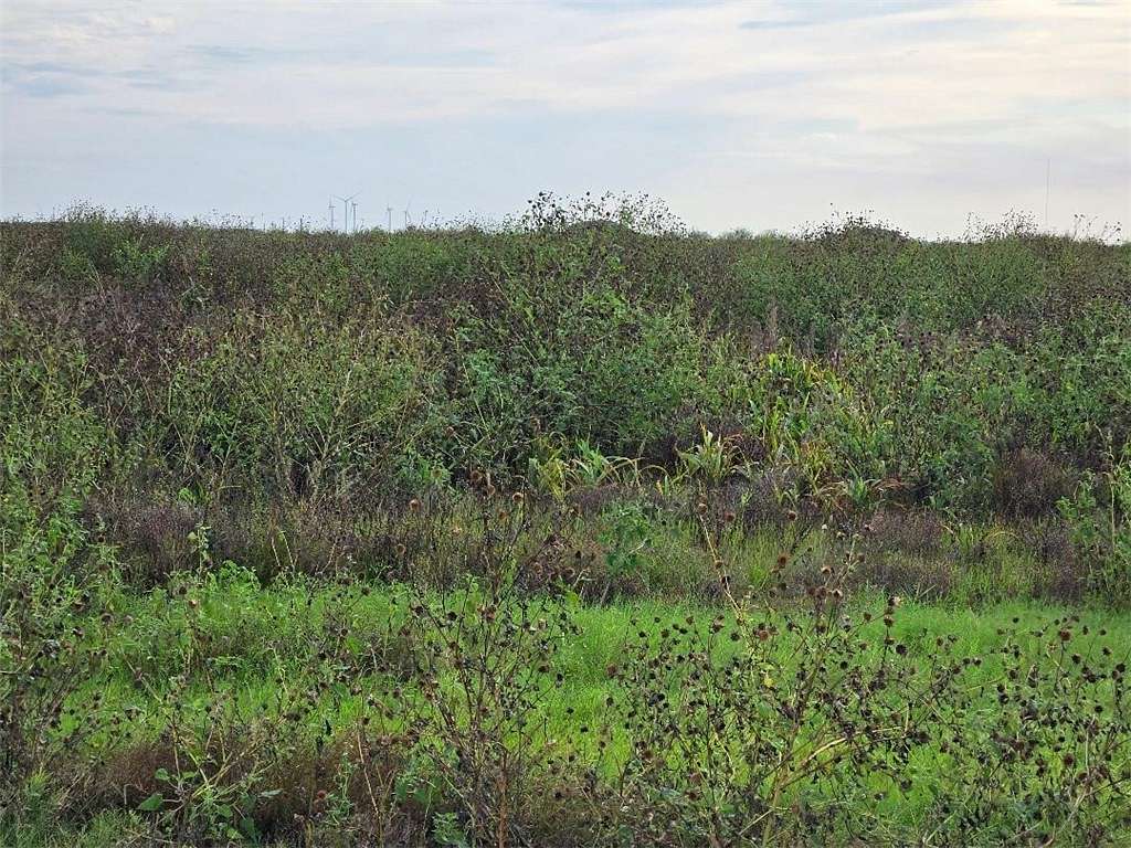 2.16 Acres of Residential Land for Sale in Corpus Christi, Texas