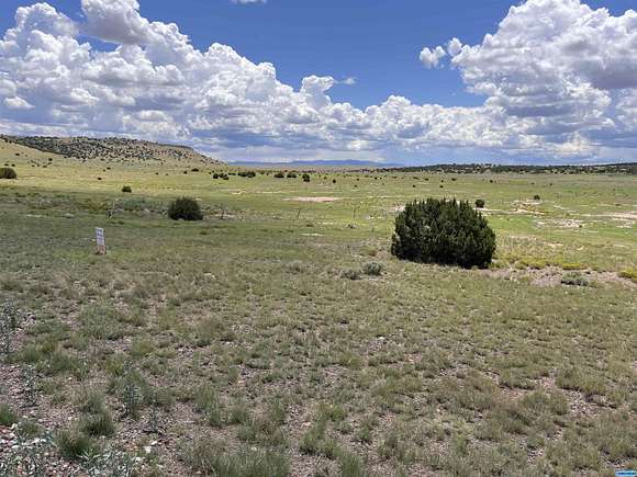 17.67 Acres of Land for Sale in Quemado, New Mexico