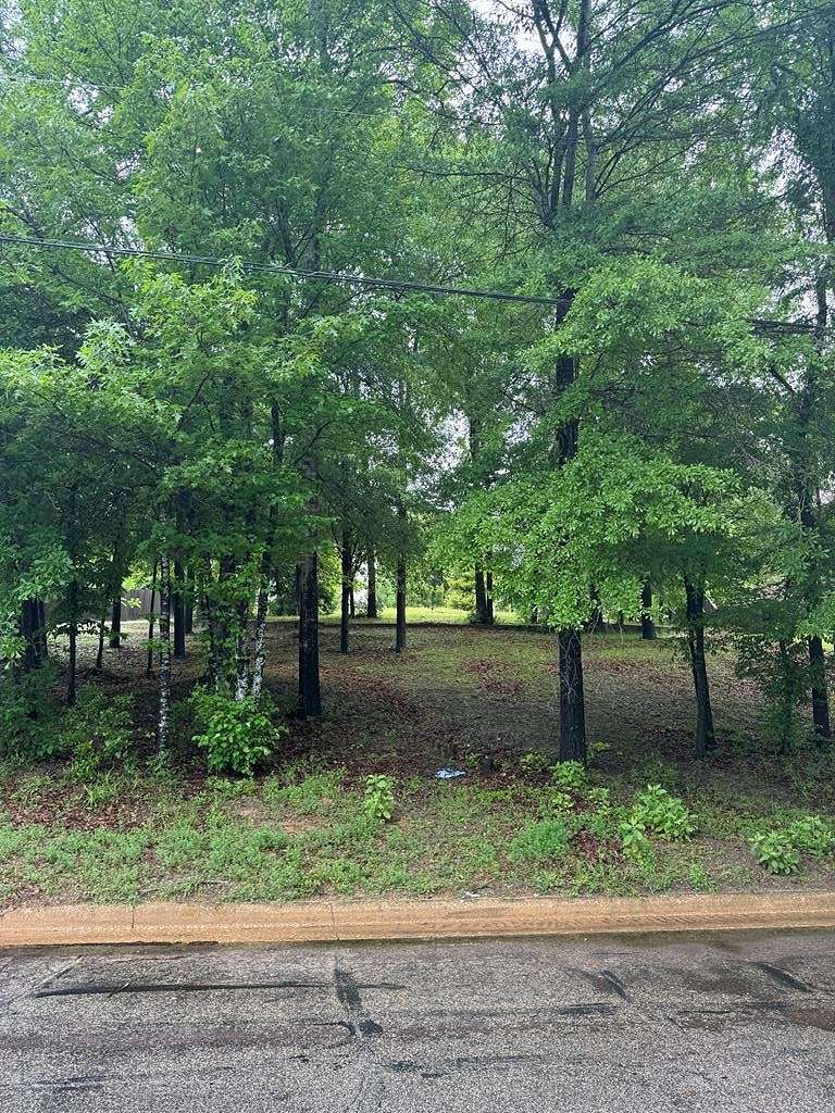 0.36 Acres of Residential Land for Sale in Nacogdoches, Texas