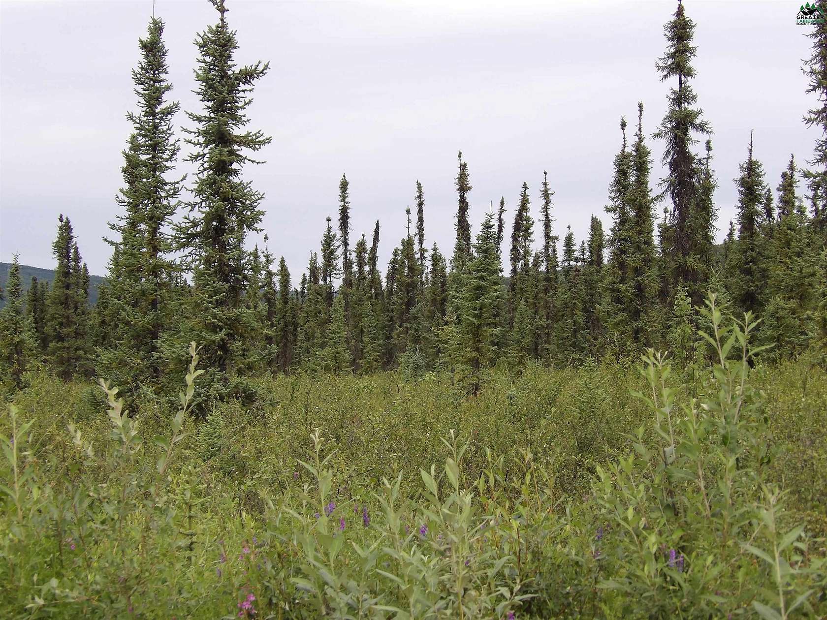 90.33 Acres of Land for Sale in Fairbanks, Alaska