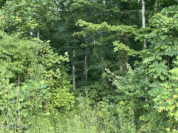 6.4 Acres of Land for Sale in Spring City, Tennessee