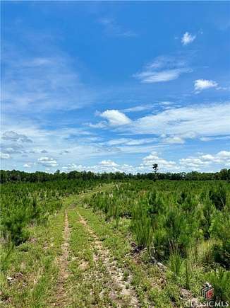 40.6 Acres of Recreational Land & Farm for Sale in Carlton, Georgia