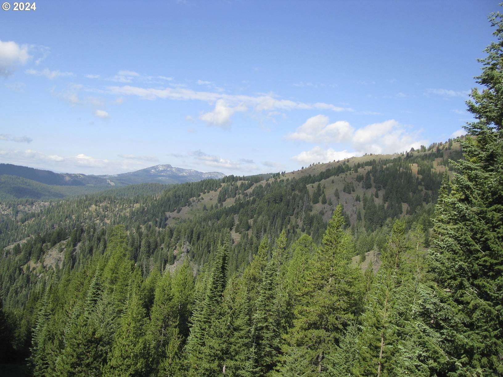 69 Acres of Recreational Land for Sale in Sumpter, Oregon
