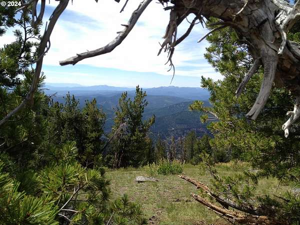 69 Acres of Recreational Land for Sale in Sumpter, Oregon