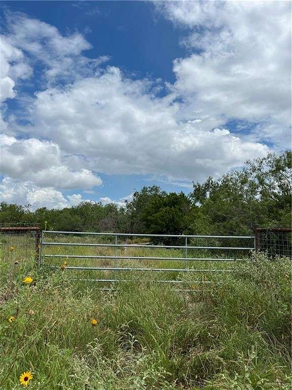 38.41 Acres of Recreational Land for Sale in San Isidro, Texas