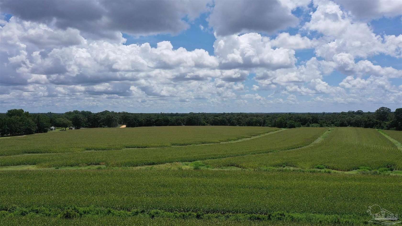 58 Acres of Agricultural Land for Sale in Atmore, Alabama