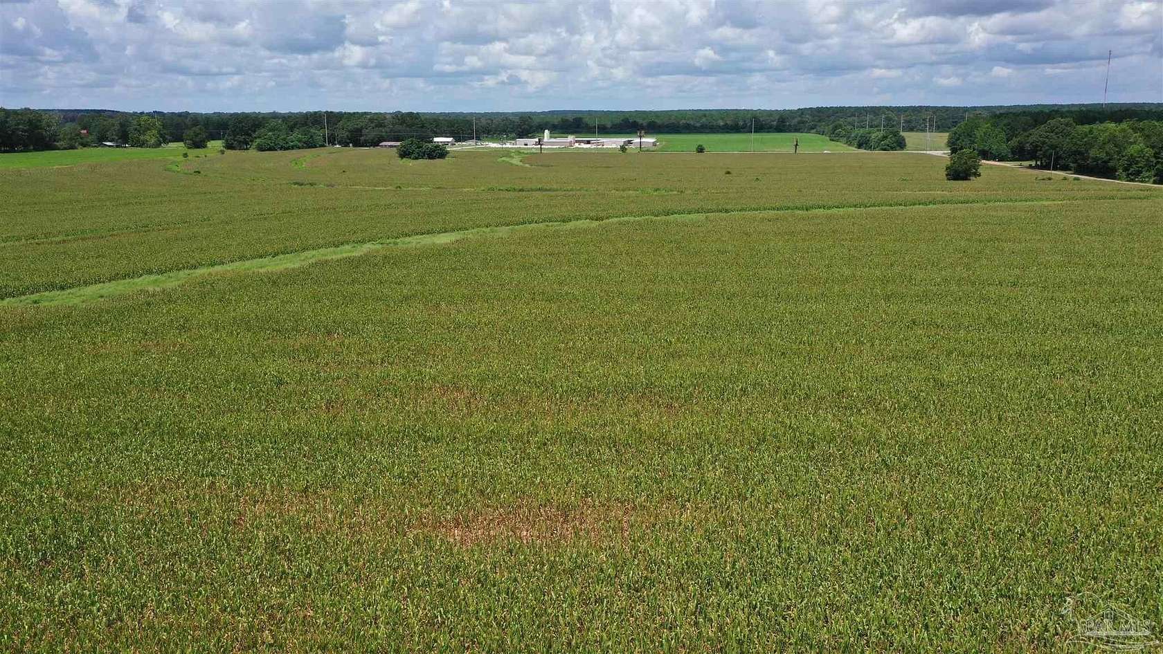 58 Acres of Agricultural Land for Sale in Atmore, Alabama