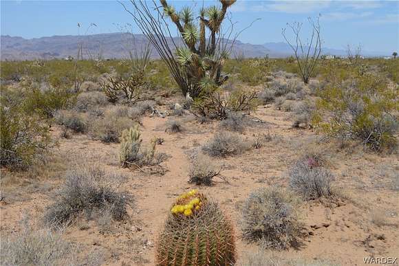 8.4 Acres of Agricultural Land for Sale in Yucca, Arizona