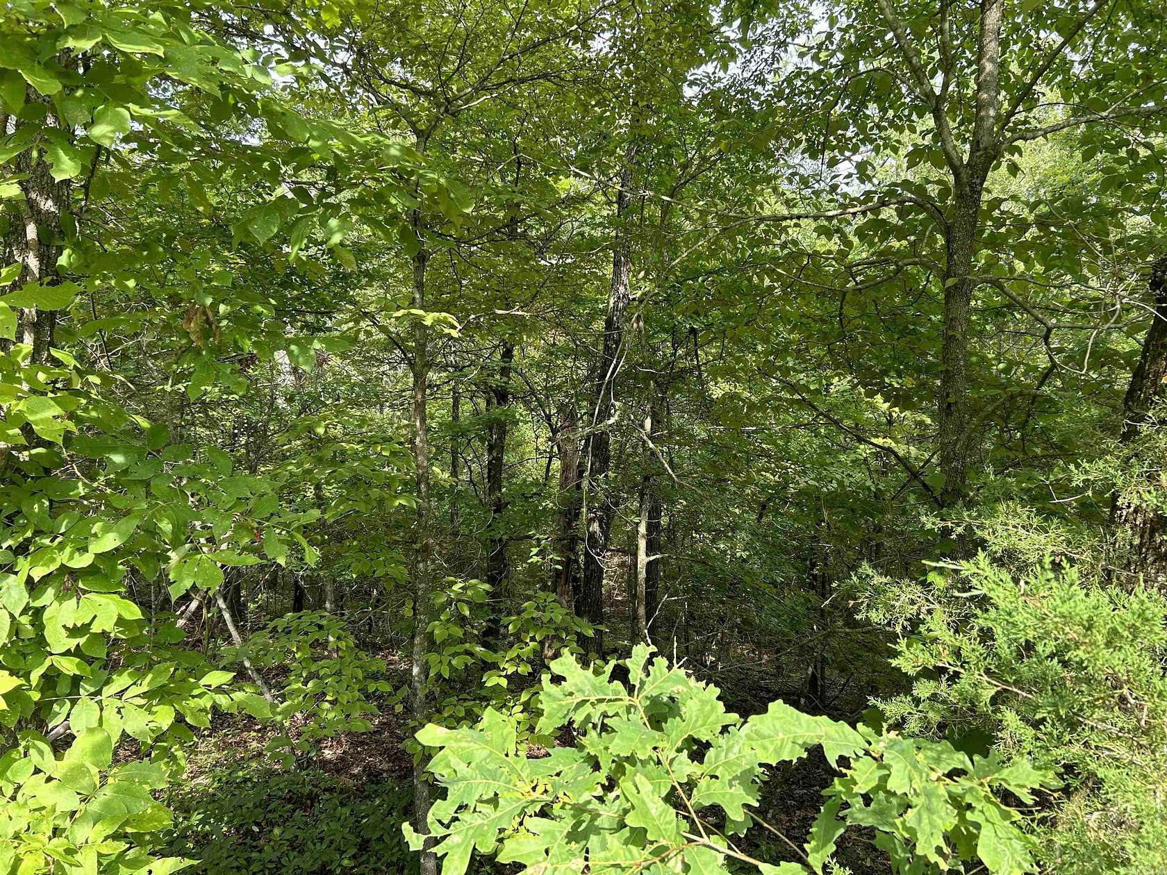 0.18 Acres of Residential Land for Sale in Midway, Arkansas