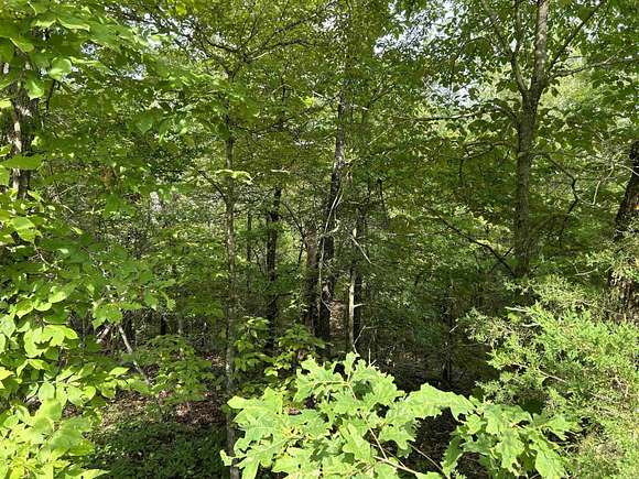 0.18 Acres of Residential Land for Sale in Midway, Arkansas