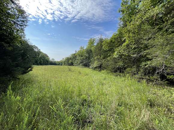 24.42 Acres of Land for Sale in Mansfield, Missouri