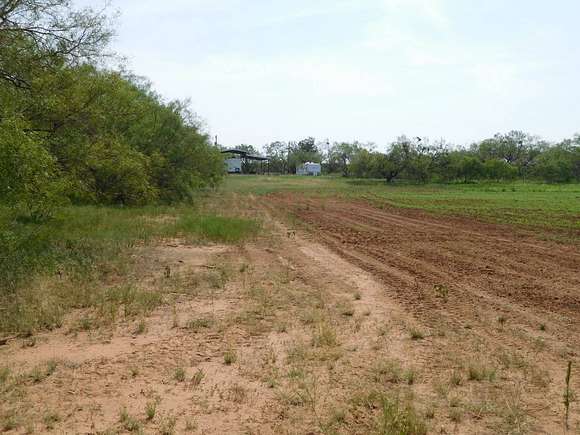 298.42 Acres of Recreational Land & Farm for Sale in Winters, Texas