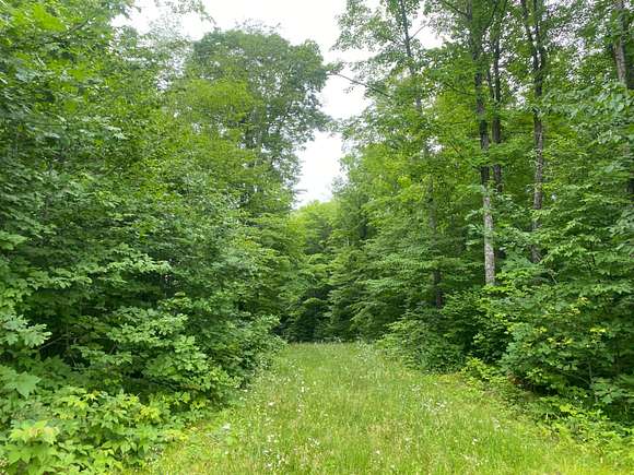 280 Acres of Recreational Land for Sale in Butternut, Wisconsin