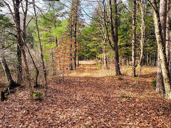 27 Acres of Recreational Land for Sale in Ryegate Town, Vermont