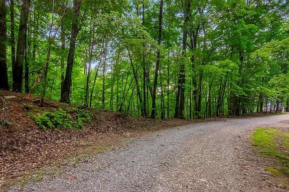 0.48 Acres of Residential Land for Sale in Ellijay, Georgia