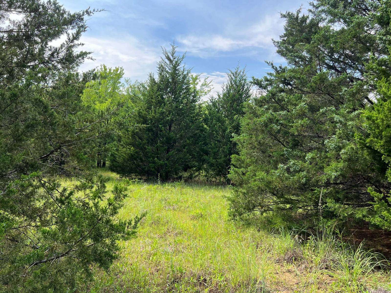 3.14 Acres of Residential Land for Sale in Colbert, Oklahoma