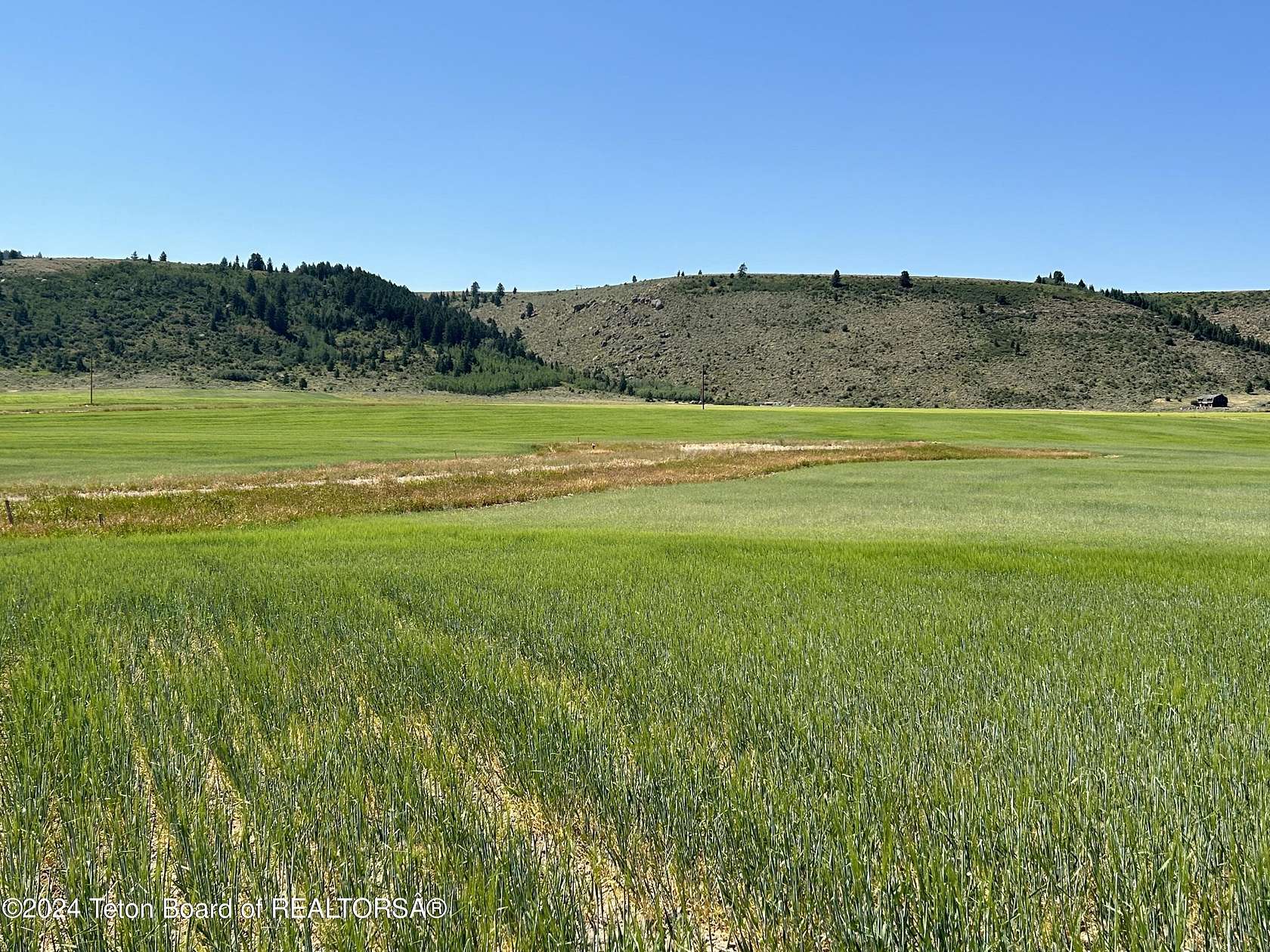 1 Acre of Residential Land for Sale in Tetonia, Idaho