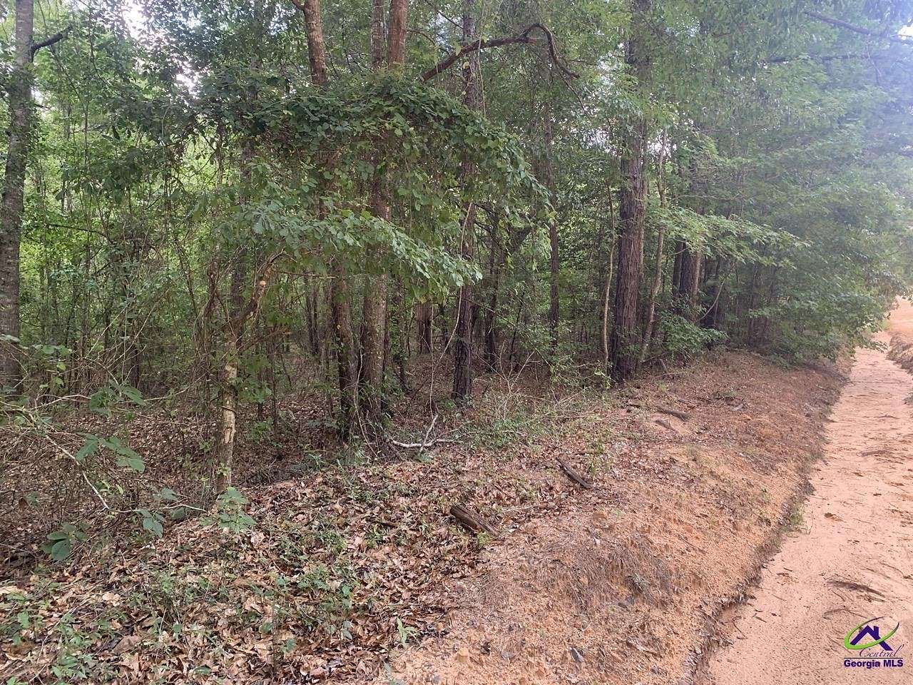 9.43 Acres of Land for Sale in Butler, Georgia