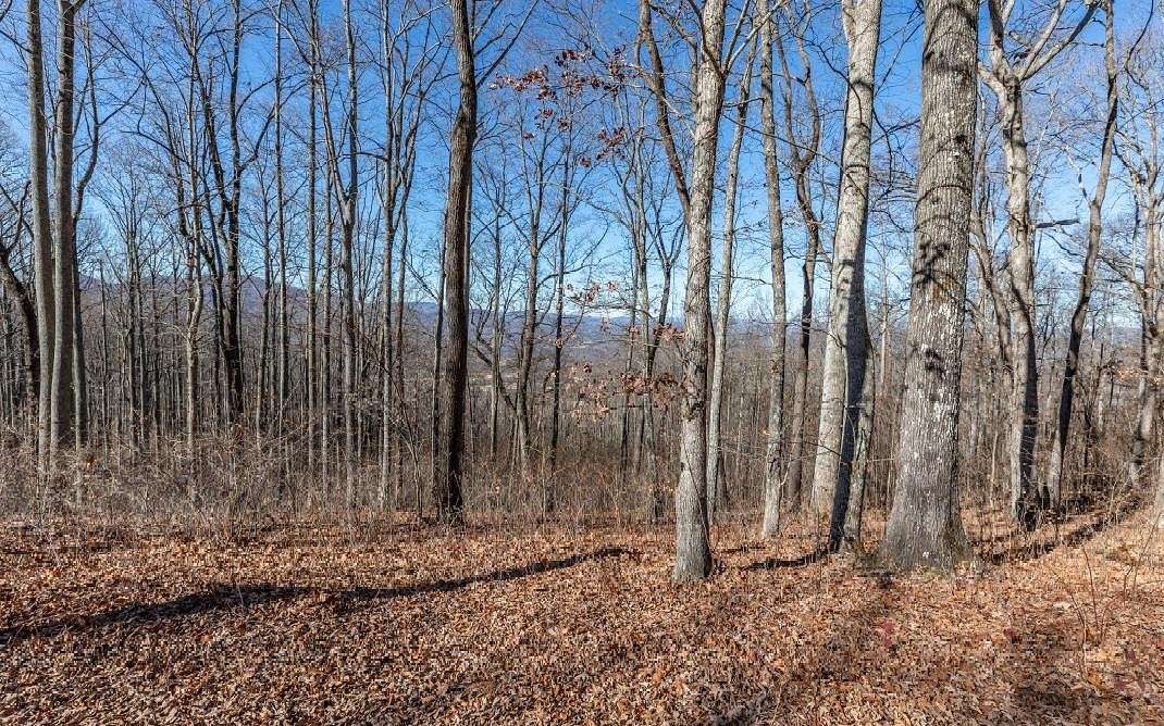 1.1 Acres of Residential Land for Sale in Young Harris, Georgia