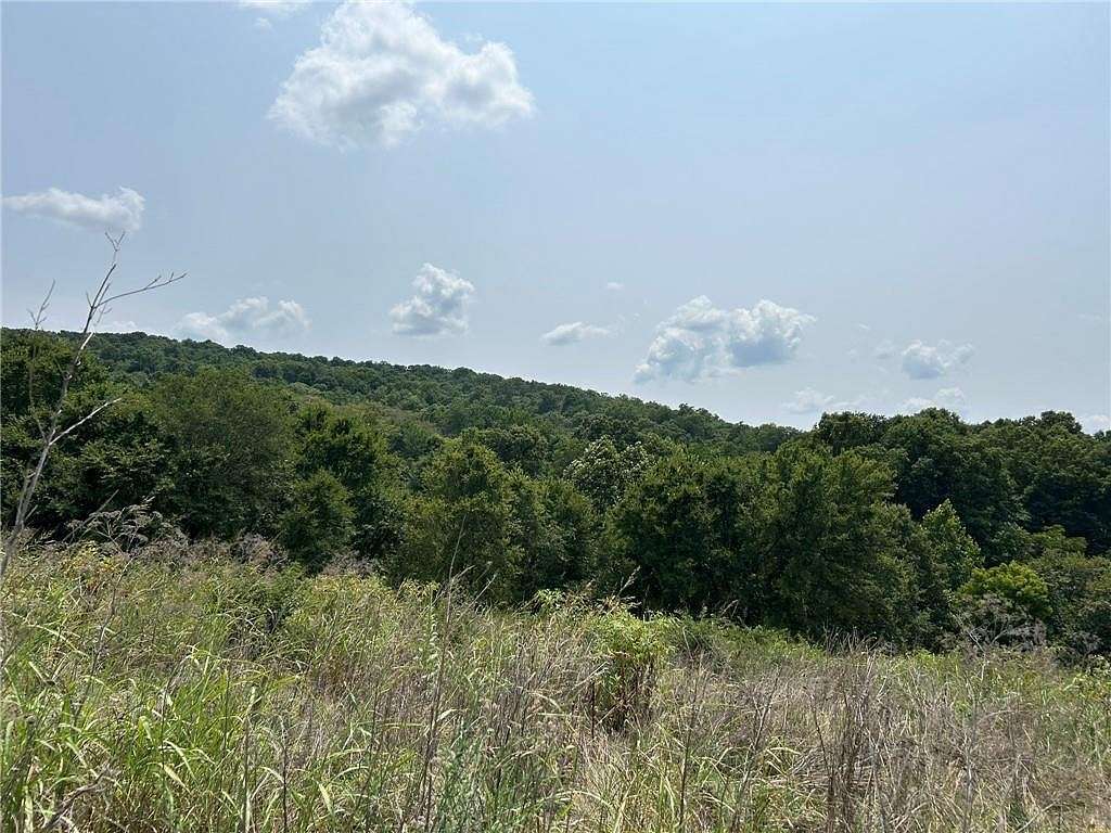 64.641 Acres of Recreational Land for Sale in Lincoln, Arkansas