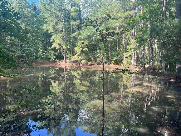 50 Acres of Recreational Land for Sale in Palestine, Texas