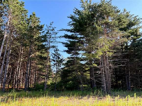 2.88 Acres of Land for Sale in Orrock Township, Minnesota