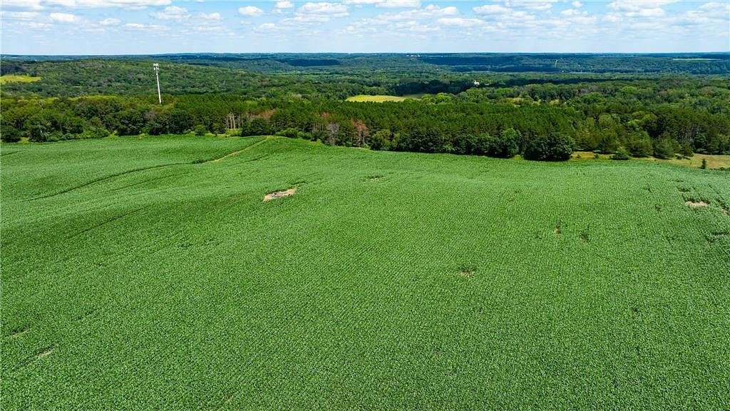 79.6 Acres of Land for Sale in May Township, Minnesota