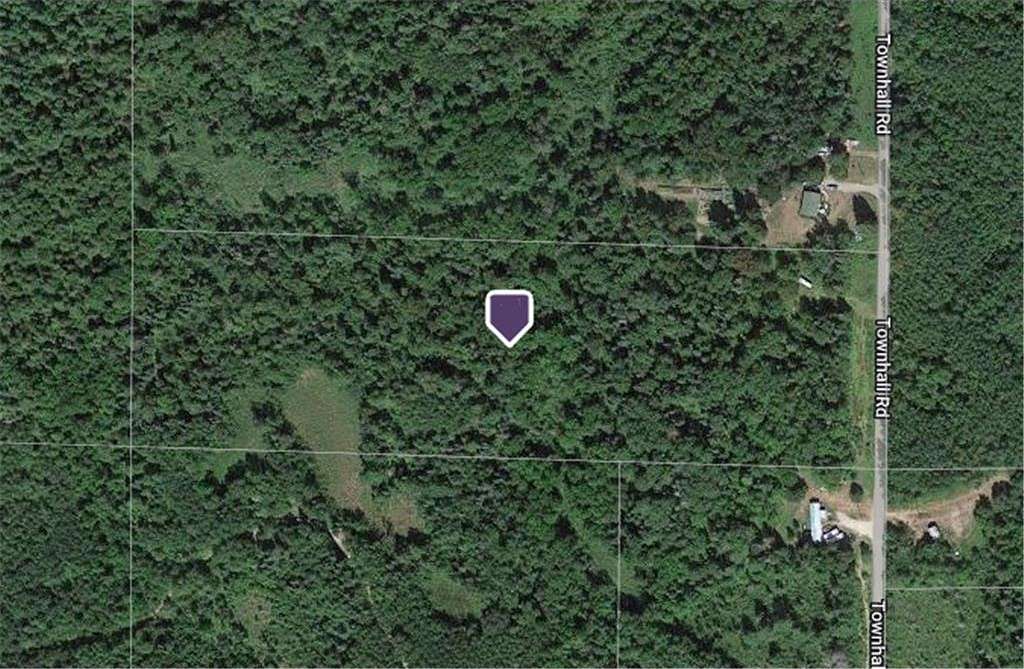 11.37 Acres of Recreational Land for Sale in Squaw Lake, Minnesota