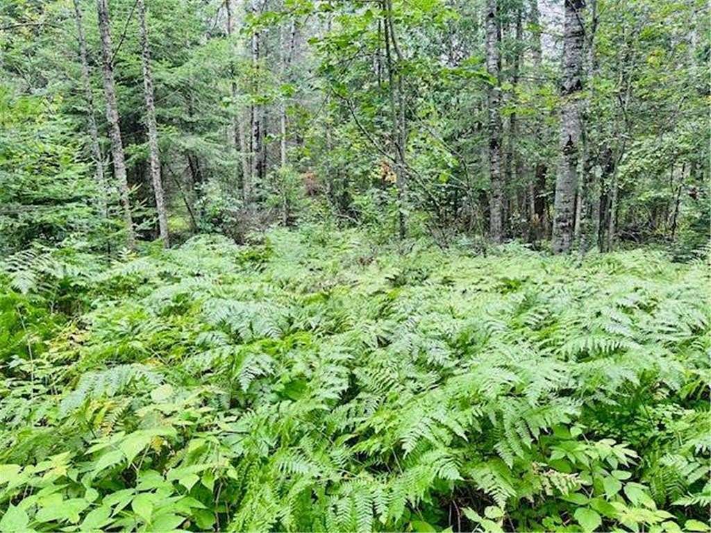 11.4 Acres of Recreational & Residential Land for Sale in Squaw Lake, Minnesota