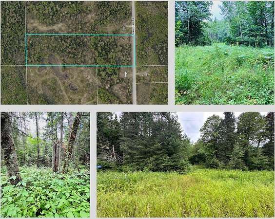 11.4 Acres of Recreational Land for Sale in Squaw Lake, Minnesota