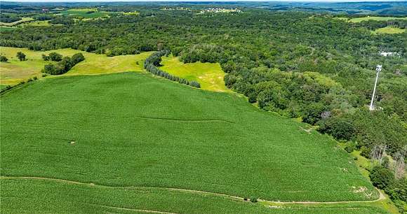 160 Acres of Land for Sale in May Township, Minnesota