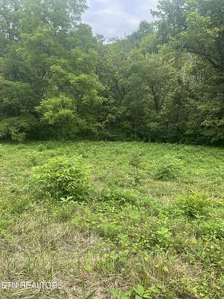 0.87 Acres of Residential Land for Sale in Maynardville, Tennessee