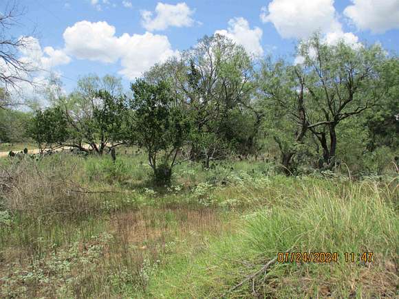 0.23 Acres of Residential Land for Sale in Granite Shoals, Texas