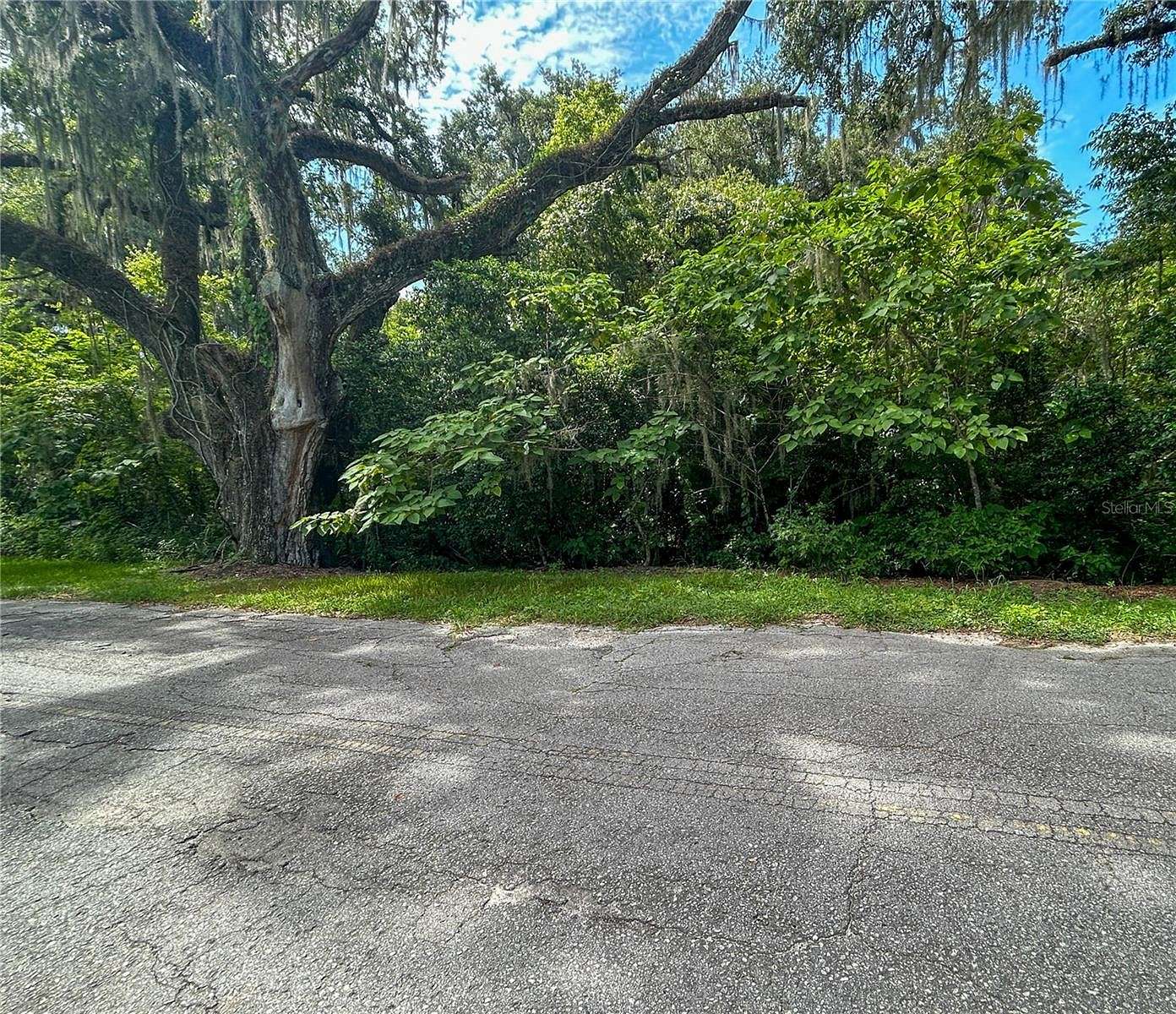 3.7 Acres of Residential Land for Sale in Center Hill, Florida