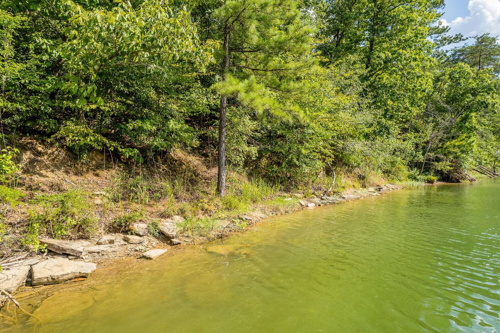 10.79 Acres of Land for Sale in Cullman, Alabama