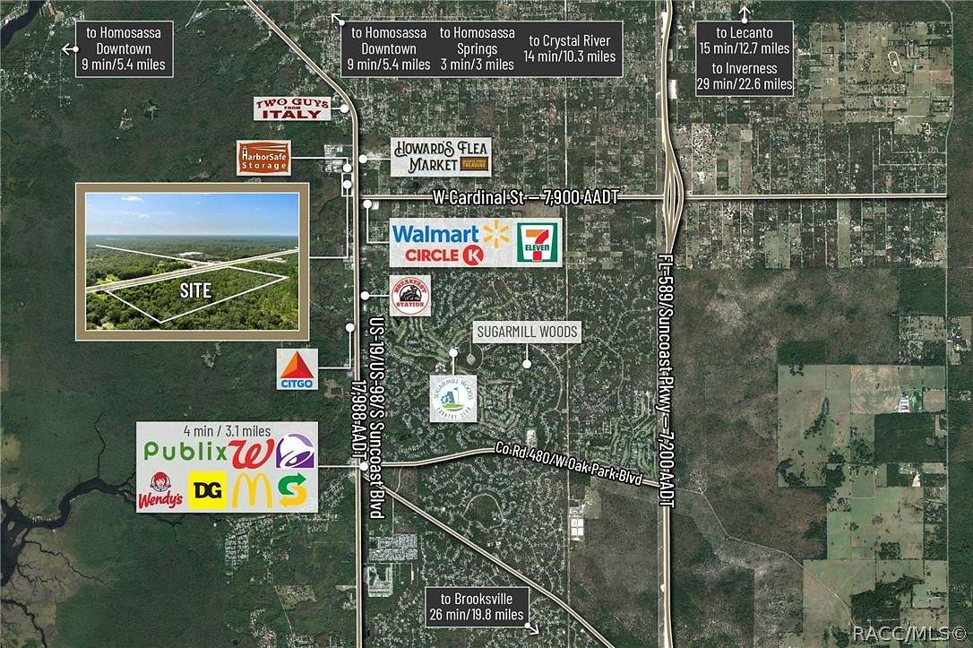 18.1 Acres of Land for Sale in Homosassa, Florida