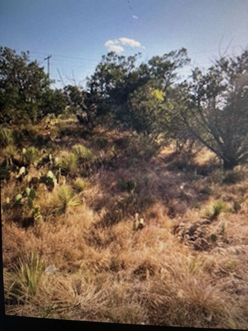 1 Acre of Residential Land for Sale in Tow, Texas