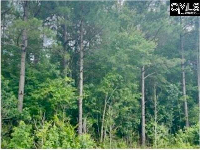20 Acres of Recreational Land & Farm for Sale in Manning, South Carolina