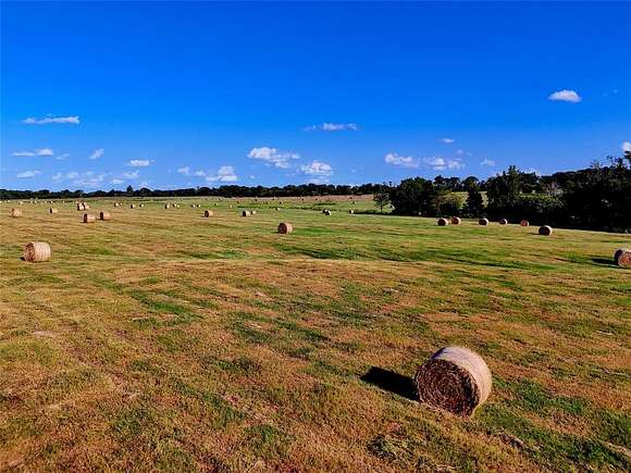 26 Acres of Agricultural Land for Sale in Mount Vernon, Texas