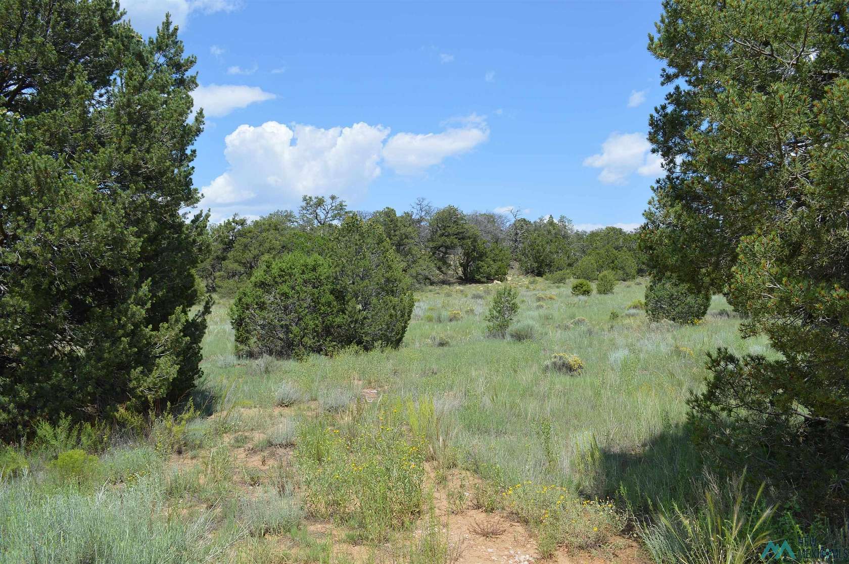 11.94 Acres of Recreational Land for Sale in Pinehill, New Mexico